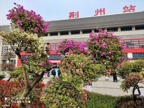 广州到荆州物流公司